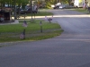 july-4th-2010-campground